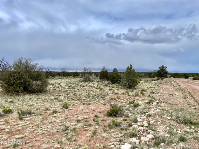 a view of a dry yard with a house in the background
