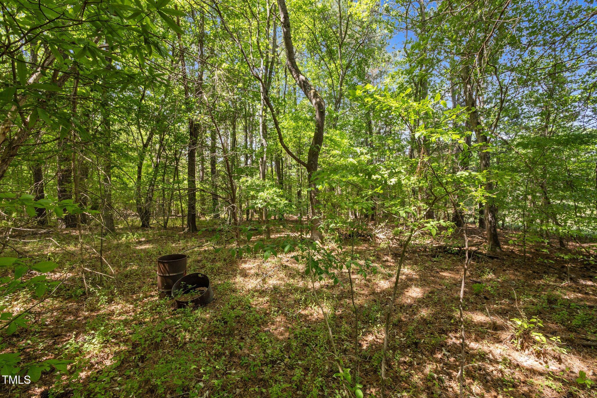 1595 Ned Moore Road Timberlake, NC 27583 - Photo 11 of 14 12-web-or-mls-P1037377