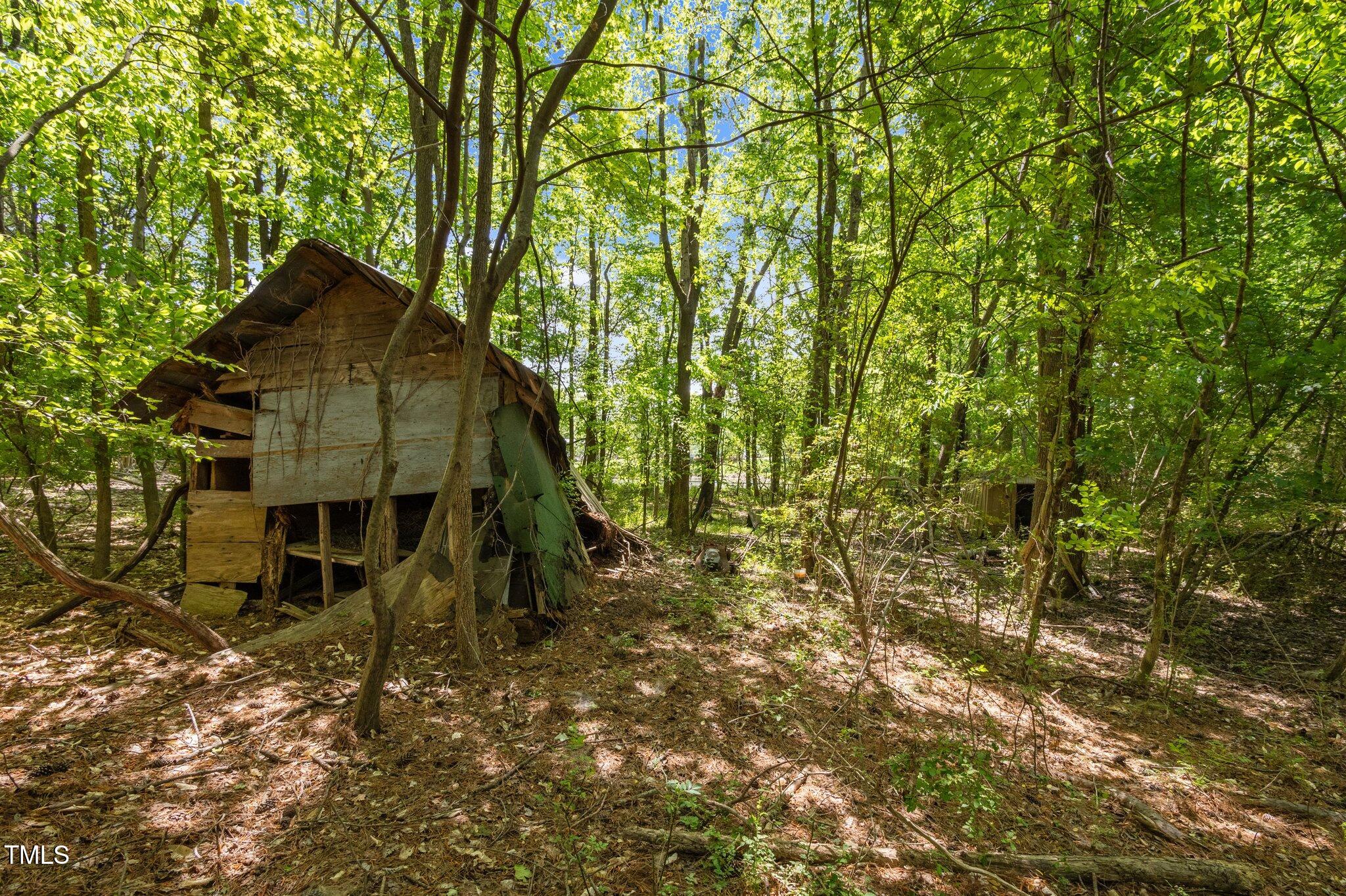 1595 Ned Moore Road Timberlake, NC 27583 - Photo 12 of 14 14-web-or-mls-P1037380