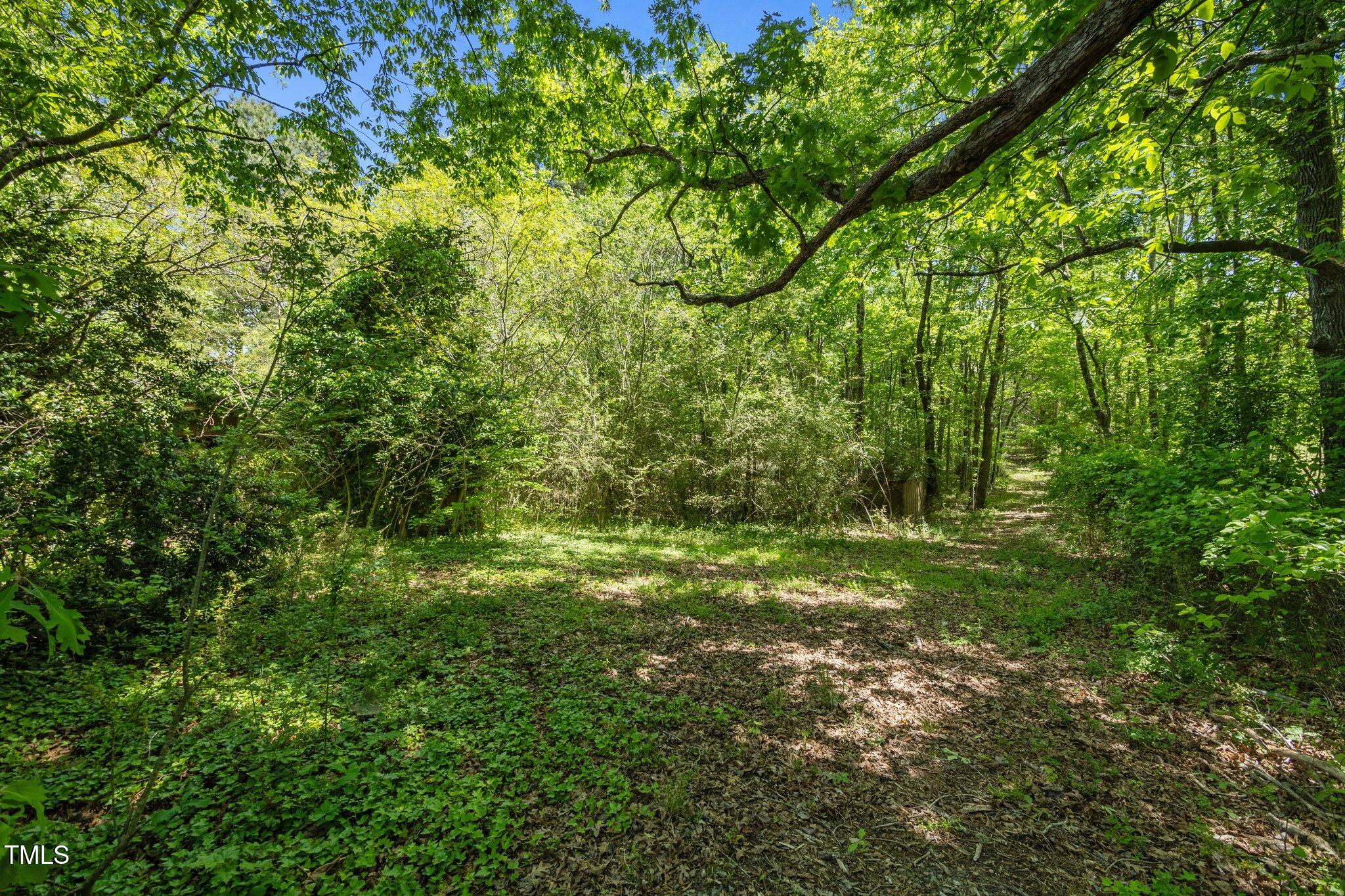 1595 Ned Moore Road Timberlake, NC 27583 - Photo 5 of 14 7-web-or-mls-P1037371