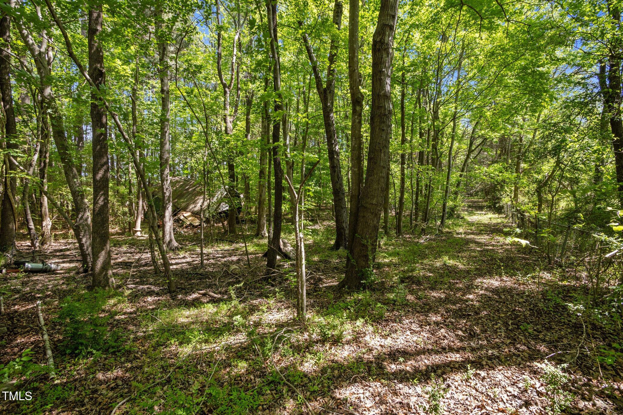 1595 Ned Moore Road Timberlake, NC 27583 - Photo 6 of 14 8-web-or-mls-P1037372