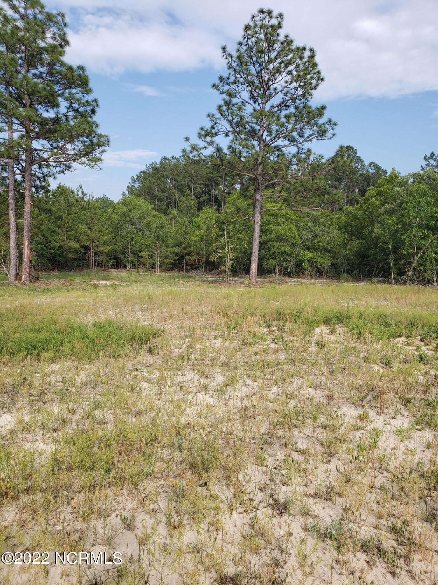 Tbd Roseland Road Aberdeen, NC 28315 - Photo 3 of 5 20220607_174209