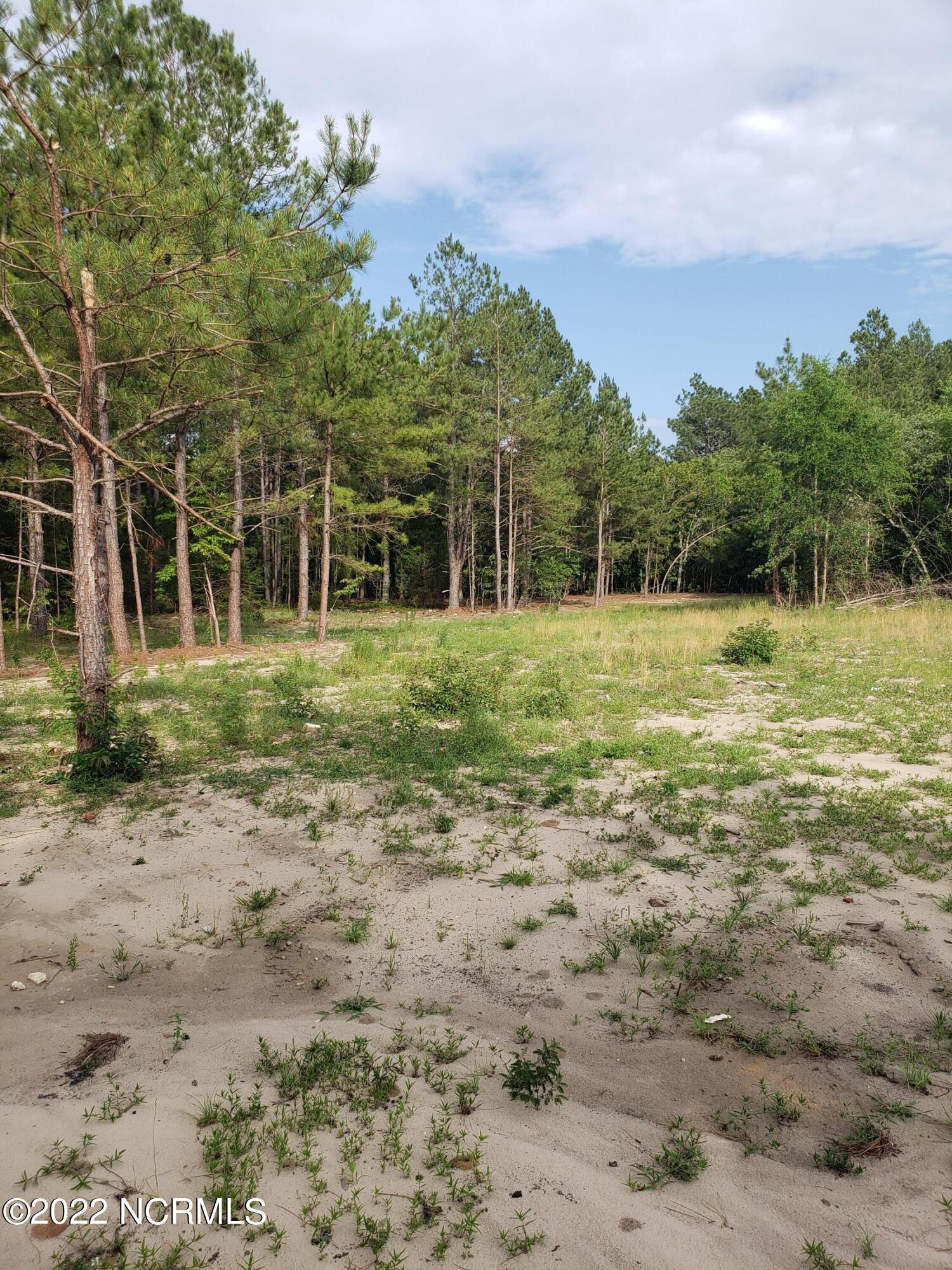 Tbd Roseland Road Aberdeen, NC 28315 - Photo 4 of 5 20220607_174326