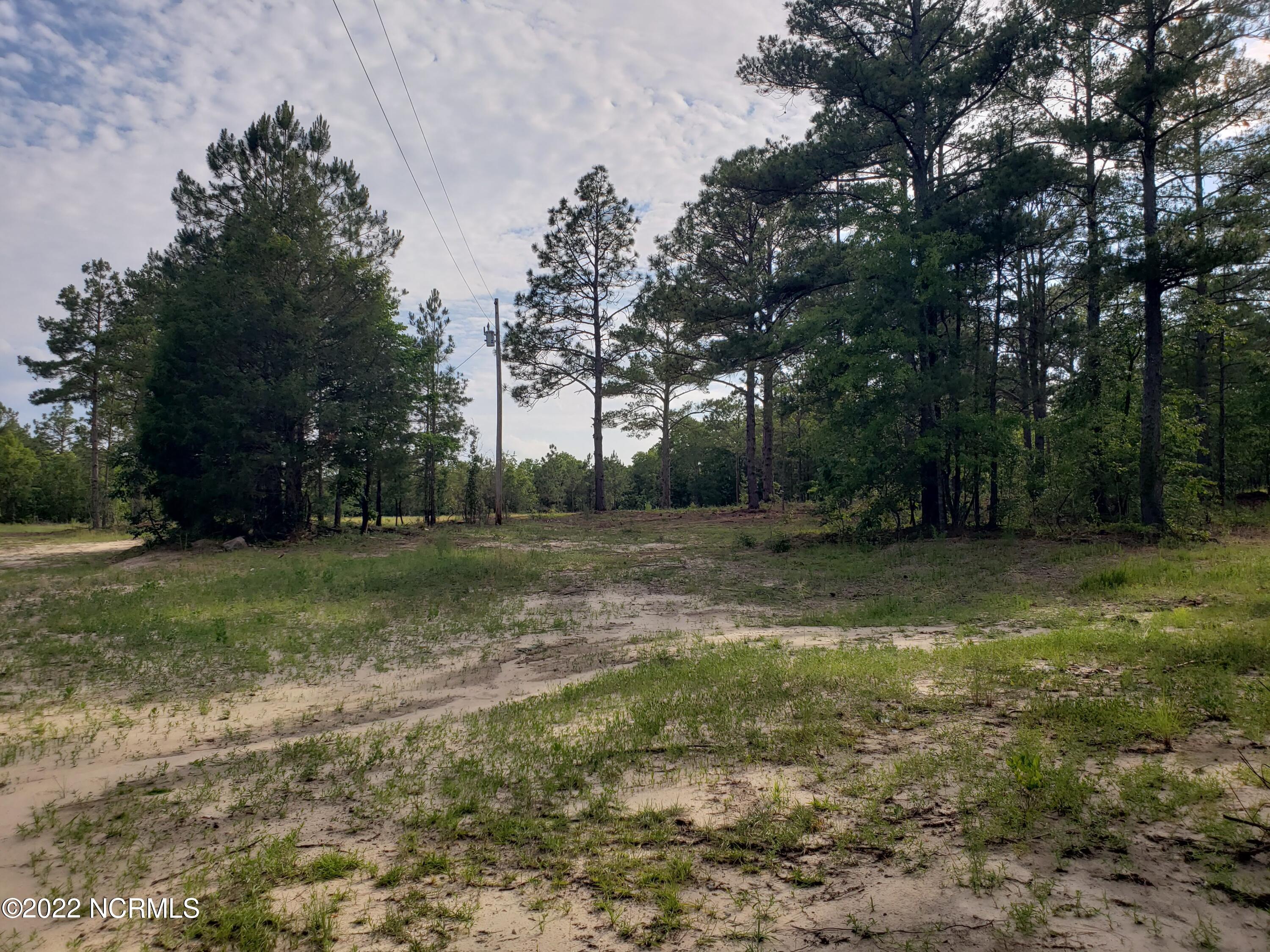 Tbd Roseland Road Aberdeen, NC 28315 - Photo 5 of 5 20220607_174438