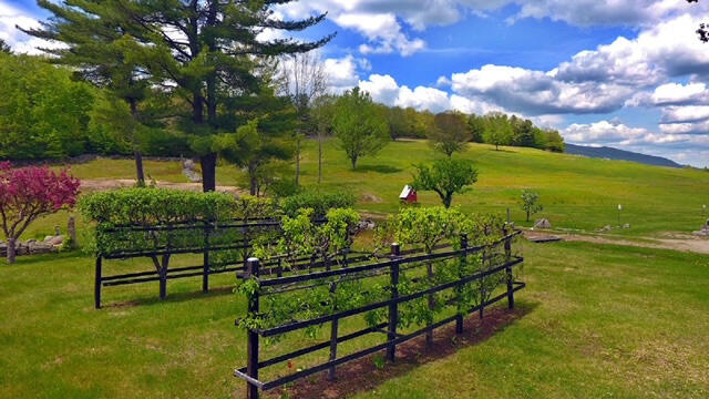 133 Pickett Hill Road Denmark, ME 04022 - Photo 12 of 63 C5FD88F0-8BF6-4DB4-A1CD-4A21D5A3CB08