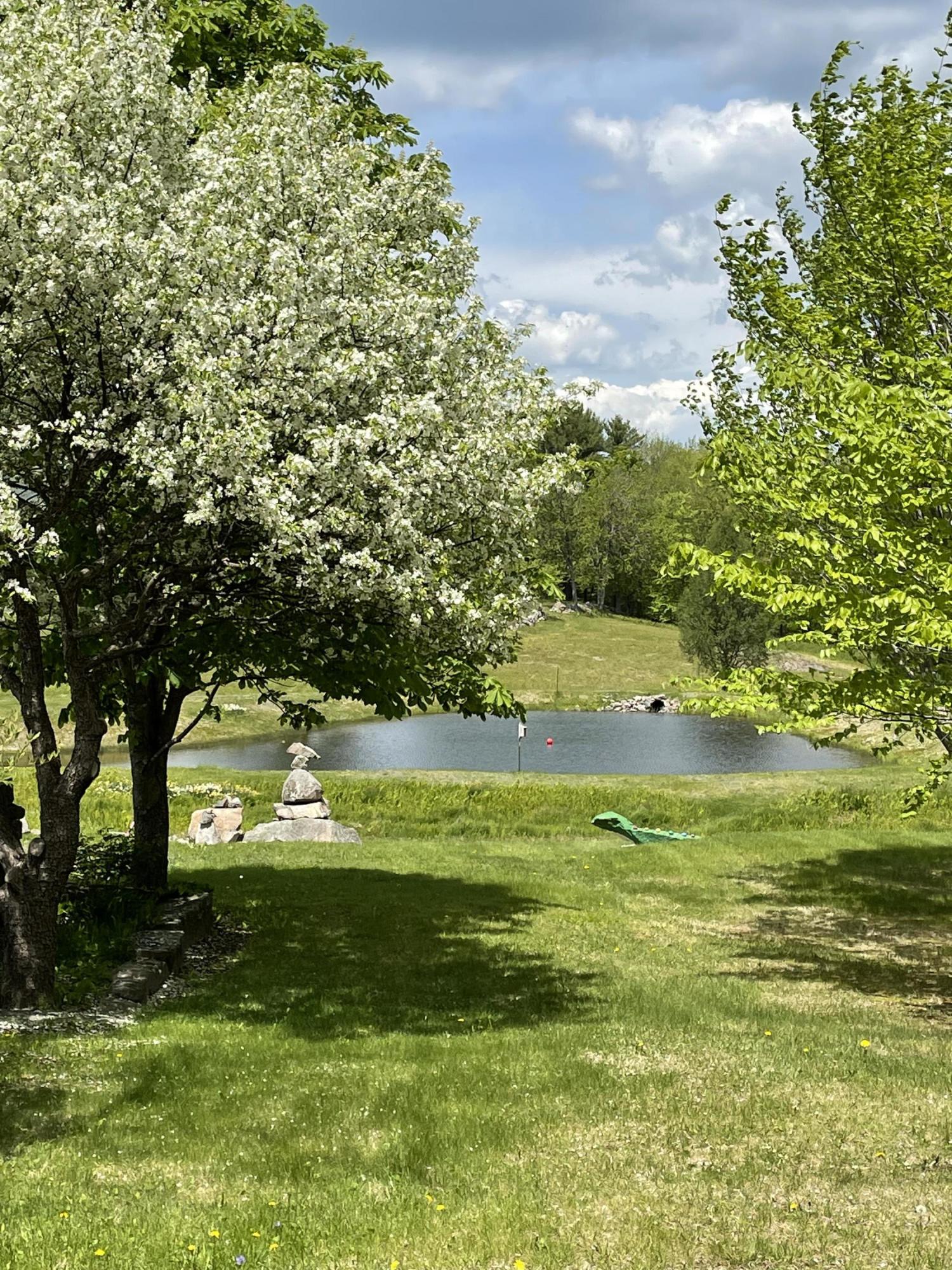 133 Pickett Hill Road Denmark, ME 04022 - Photo 57 of 63 29A081AC-AB64-4095-90B5-47562FB3F875