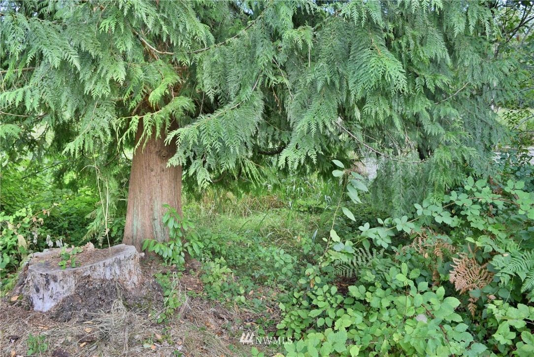 5801 Sunnyslope Road Southwest Port Orchard, WA 98367 - Photo 23 of 24 Gallery Image 23