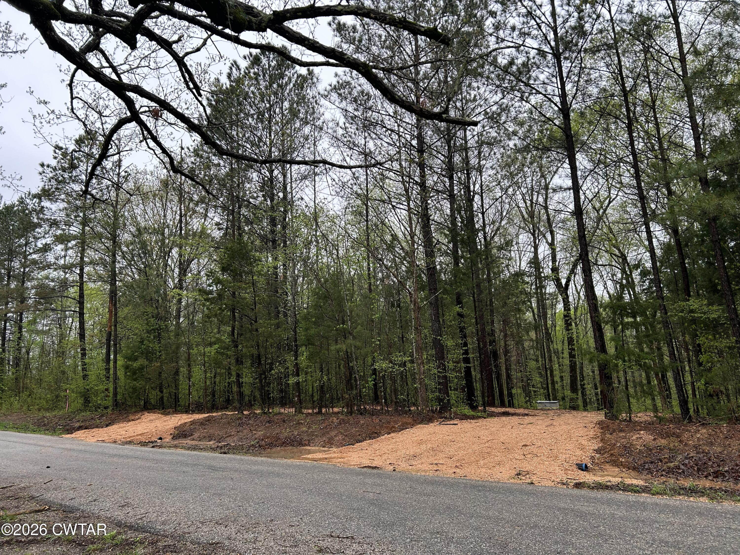 1782 Smith Chapel Road Decaturville, TN 38329 - Photo 16 of 22 a street view with large trees