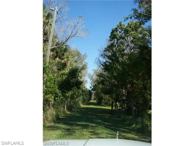 1 Parkinson Road Alva, FL 33920 - Photo 8 of 8 a view of a yard