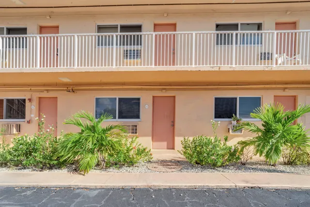 a potted plant sitting in front of a building