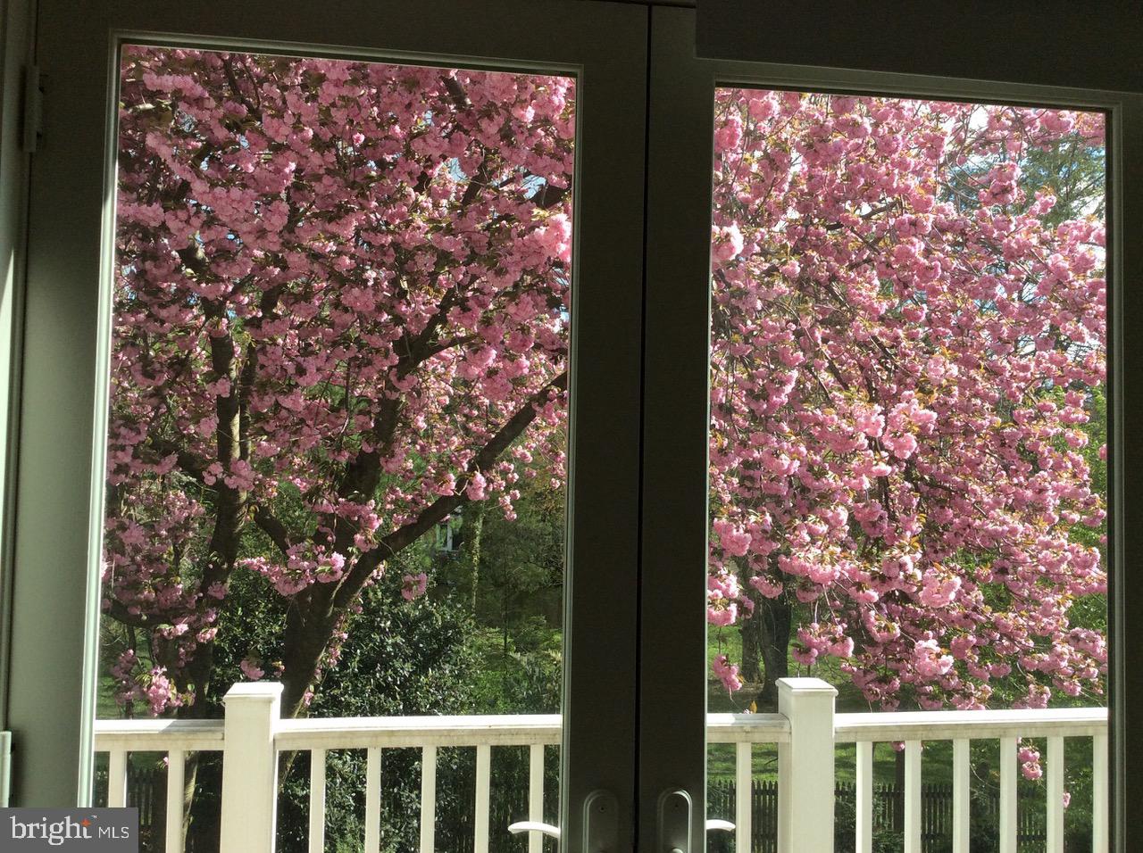 7722 Greentree Road Bethesda, MD 20817 - Photo 27 of 66 2nd floor master suite french doors to balcony