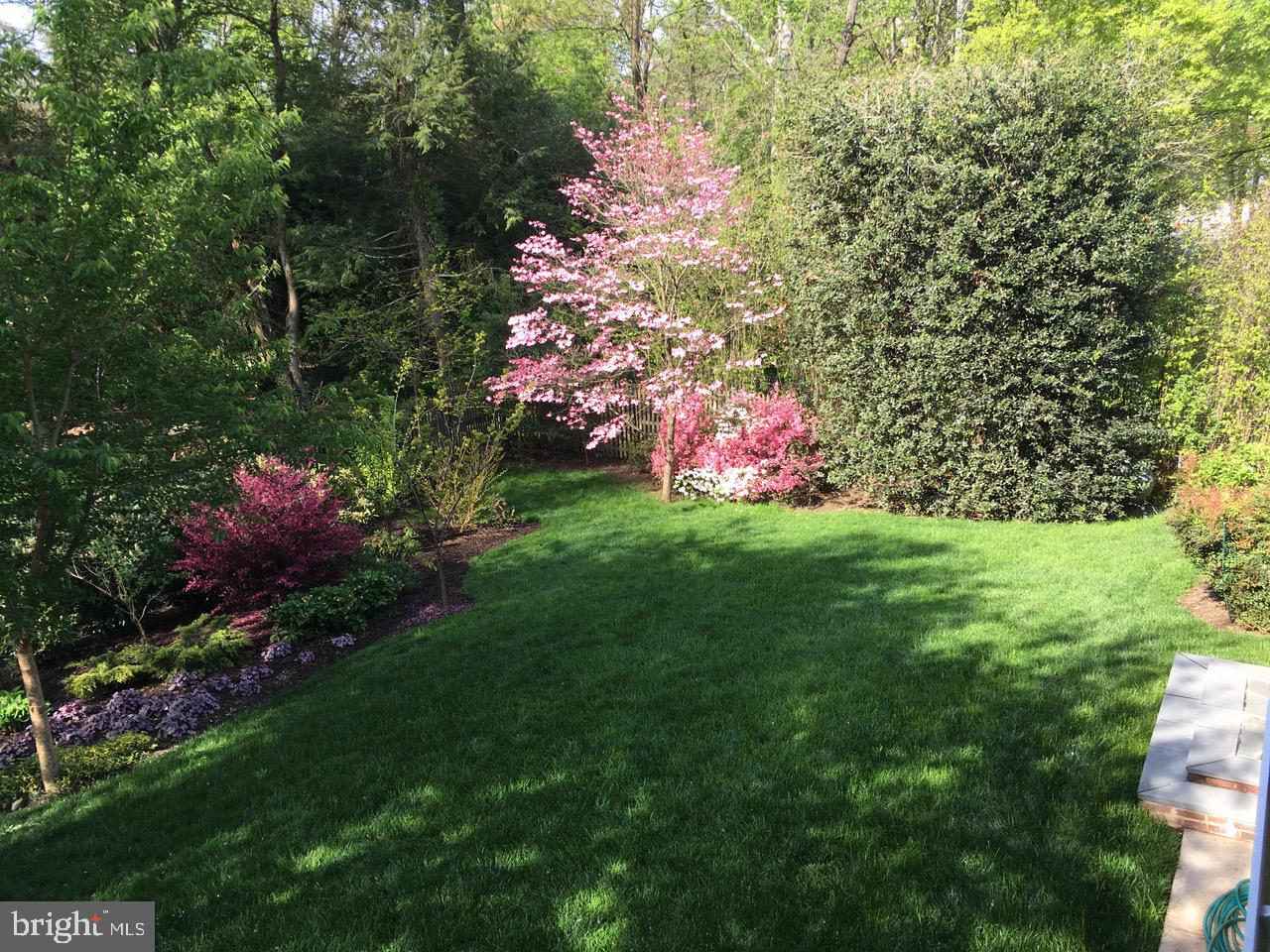 7722 Greentree Road Bethesda, MD 20817 - Photo 28 of 66 Private, park like setting, peaceful