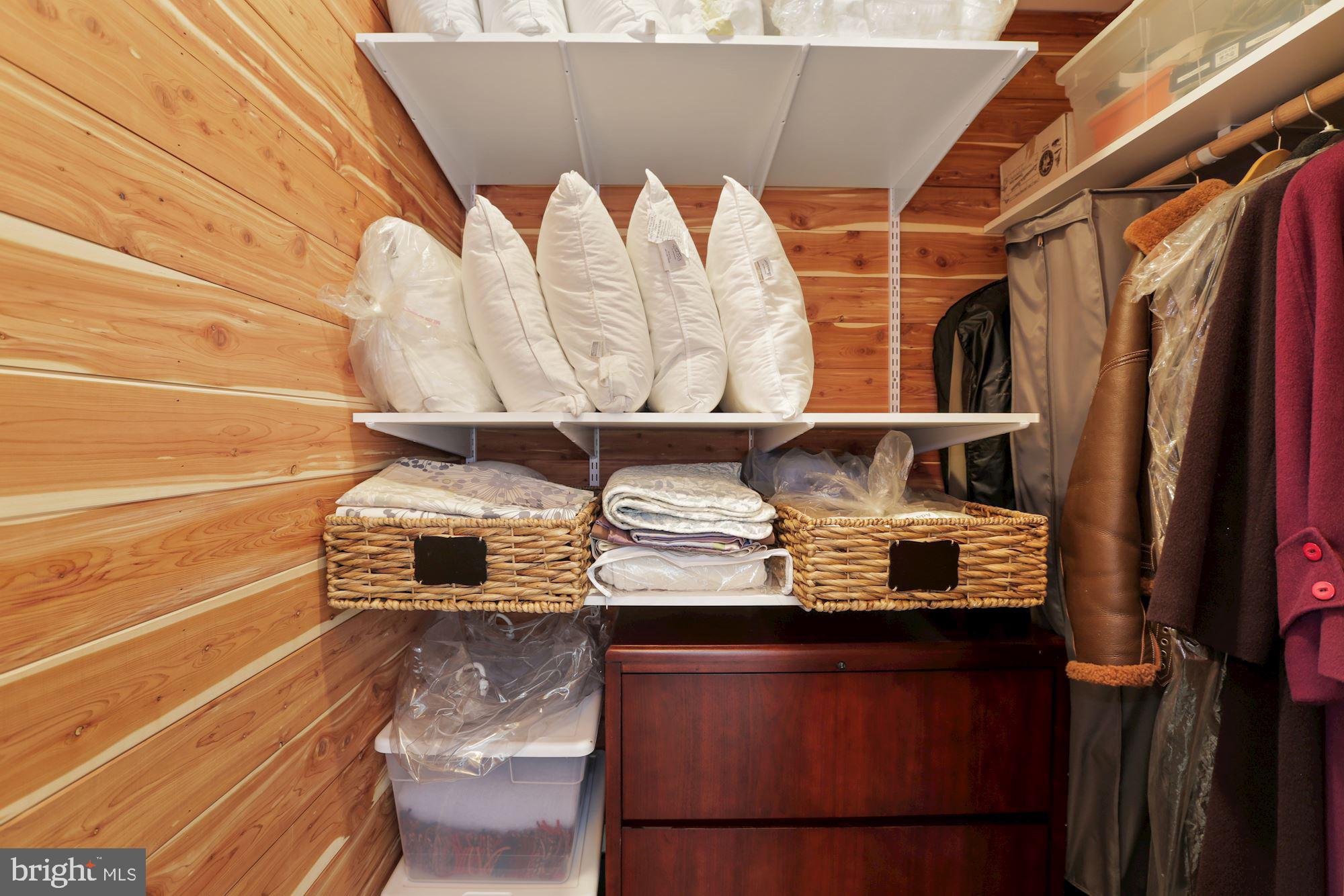 7722 Greentree Road Bethesda, MD 20817 - Photo 36 of 66 Cedar walk in closet