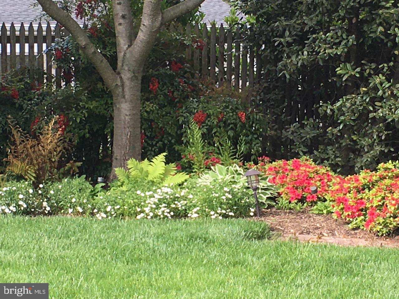 7722 Greentree Road Bethesda, MD 20817 - Photo 50 of 66 private gardens