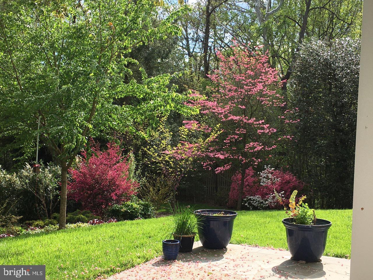 7722 Greentree Road Bethesda, MD 20817 - Photo 55 of 66