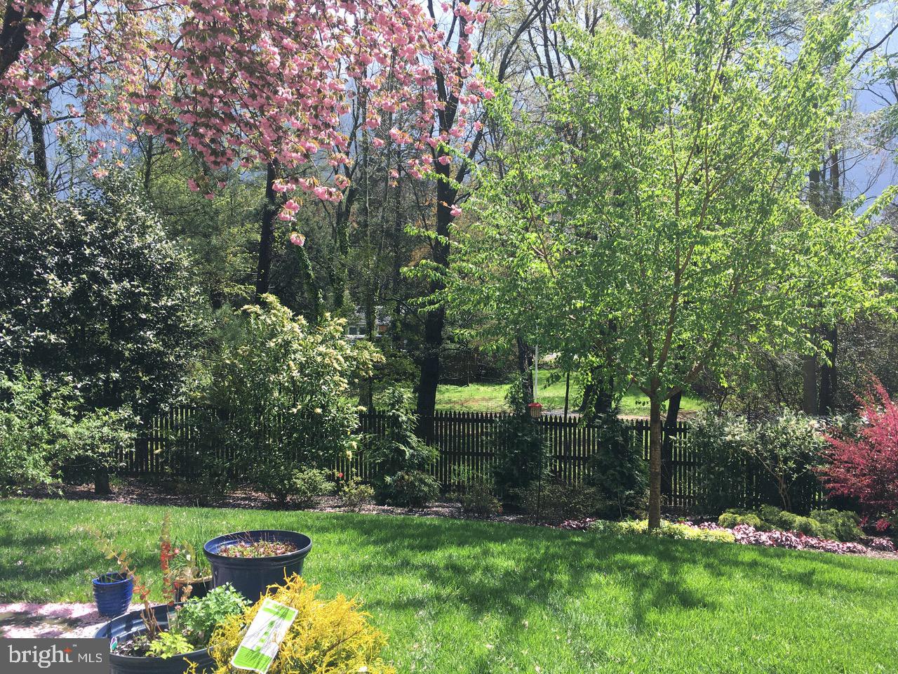 7722 Greentree Road Bethesda, MD 20817 - Photo 57 of 66
