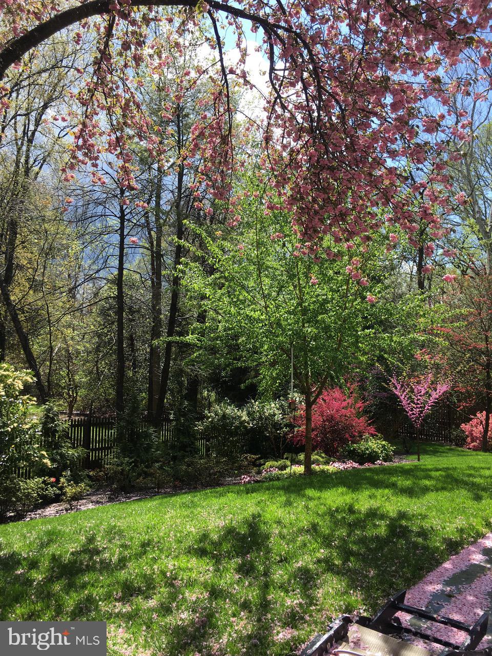 7722 Greentree Road Bethesda, MD 20817 - Photo 58 of 66