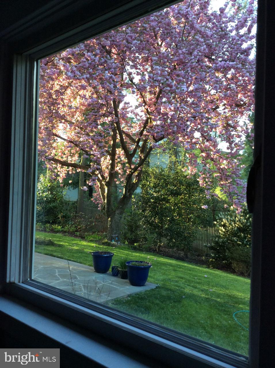 7722 Greentree Road Bethesda, MD 20817 - Photo 60 of 66 view from kitchen sink