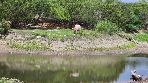a backyard of a house with a lake yard and outdoor seating
