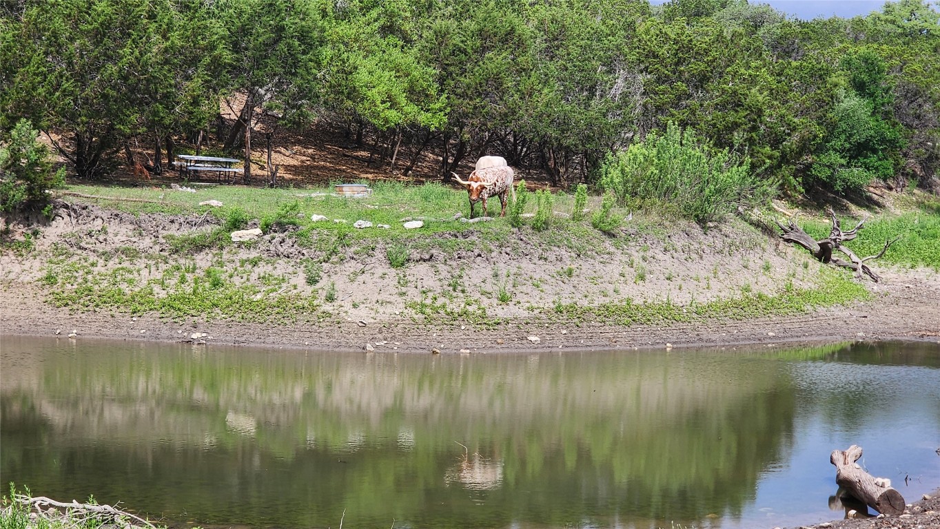 110 Longhorn Lane Dripping Springs, TX 78620 - Photo 37 of 40 a backyard of a house with a lake yard and outdoor seating