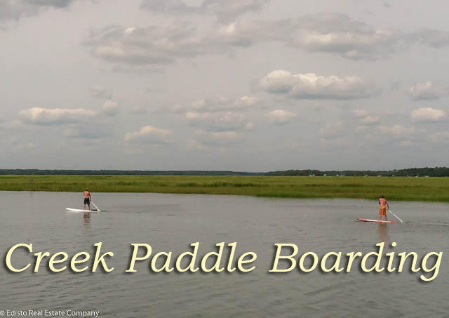 3702 Docksite Road, Unit D11 Edisto Island, SC 29438 - Photo 14 of 19 106