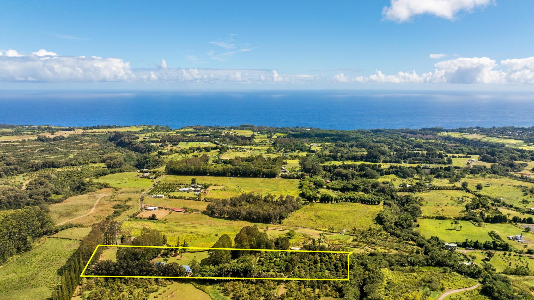 29-655 Chin Chuck Road Hakalau, HI 96781 - Photo 2 of 30 an aerial view of residential houses with outdoor space
