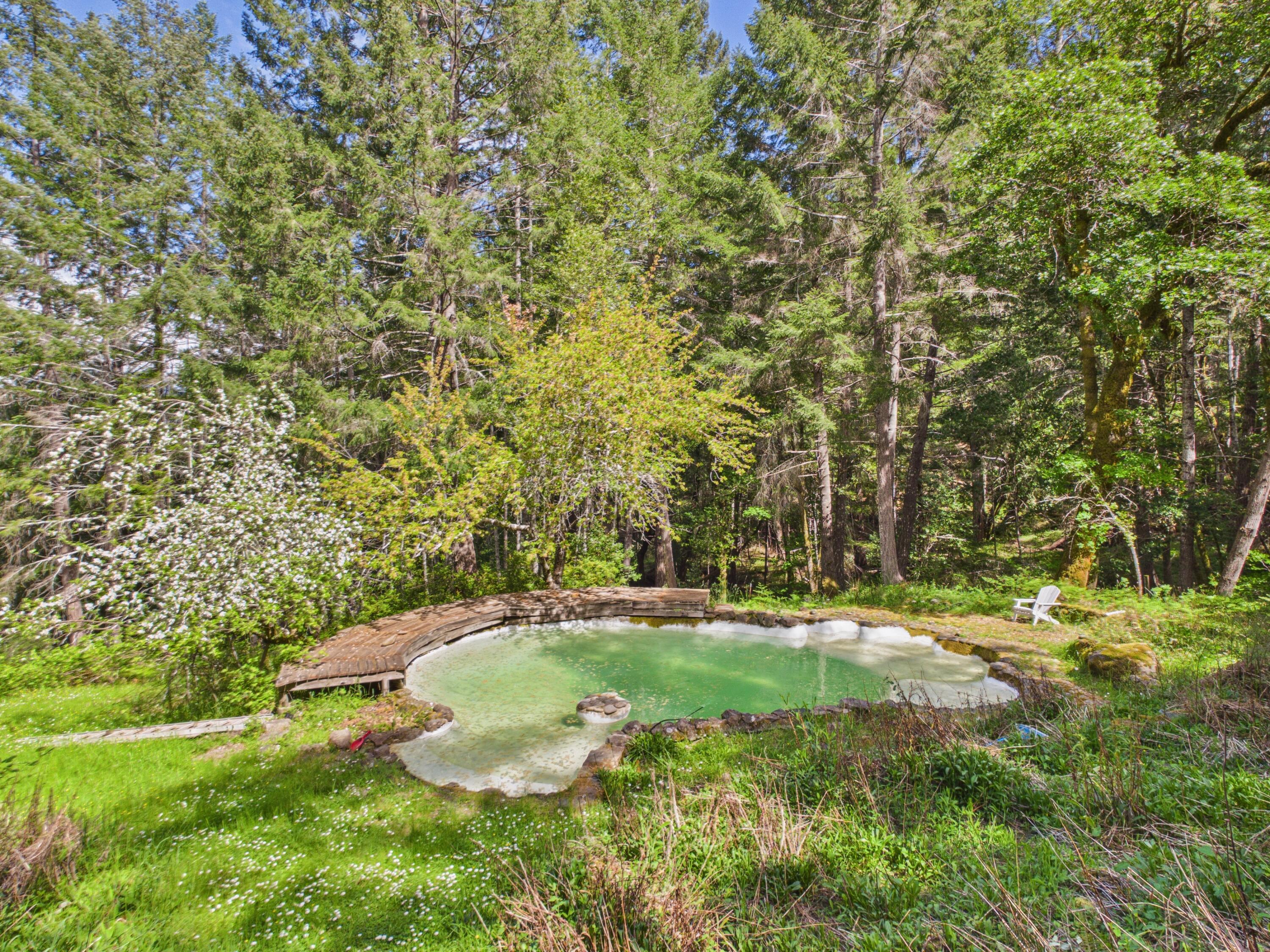 2720 Perry Meadow Road Redway, CA 95560 - Photo 44 of 69