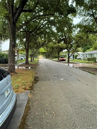 a view of a yard with plants and trees