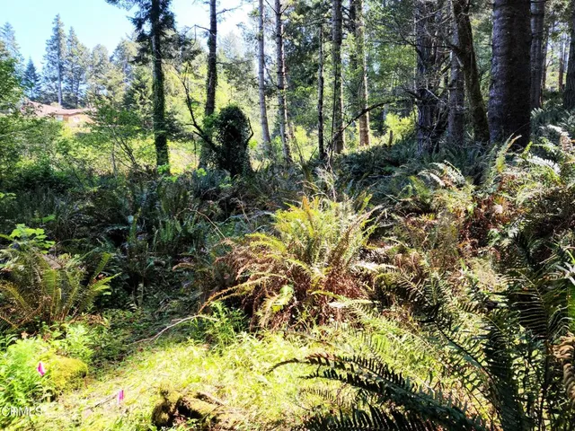 a view of backyard with green space