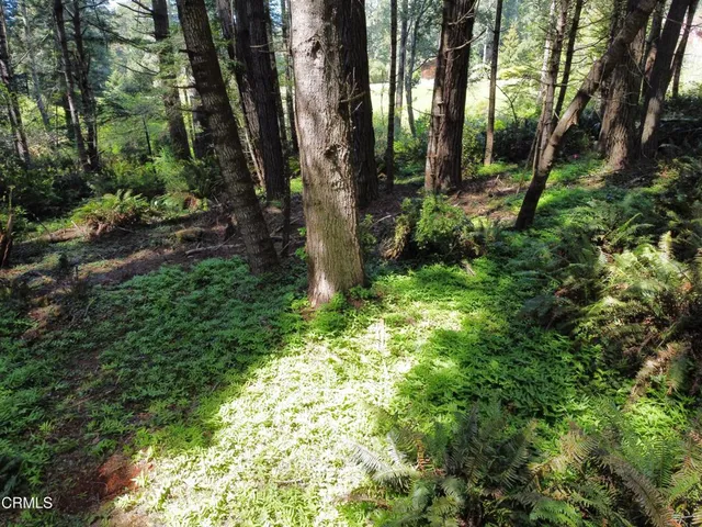 a view of backyard with green space