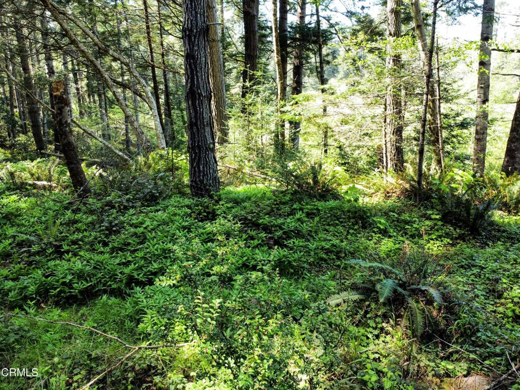 44551 Raven Lane Mendocino, CA 95460 - Photo 18 of 23 a view of lake view