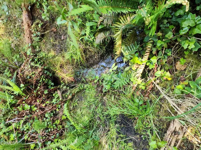 $325,000 | 44551 Raven Lane, Mendocino, CA 95460