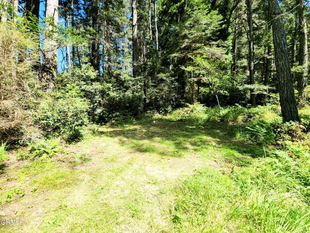 44551 Raven Lane Mendocino, CA 95460 - Photo 3 of 23 a view of outdoor space with a house