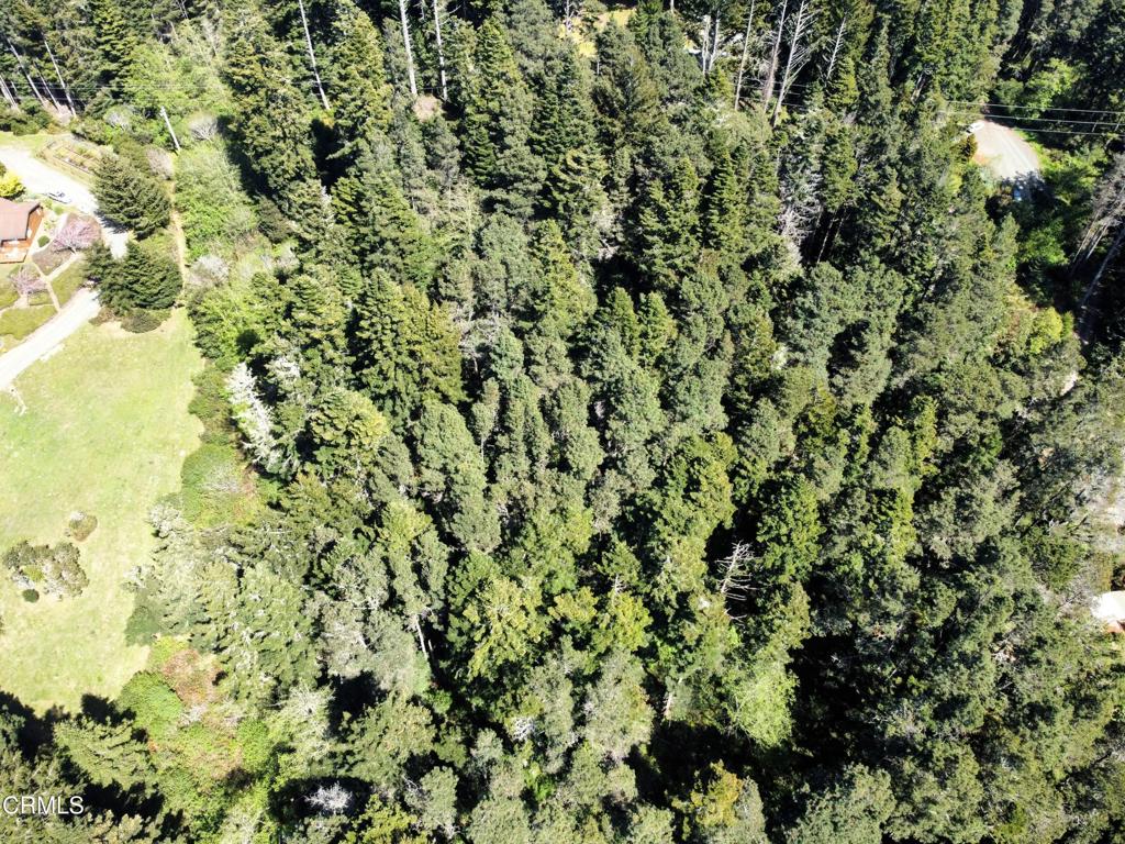 44551 Raven Lane Mendocino, CA 95460 - Photo 6 of 23