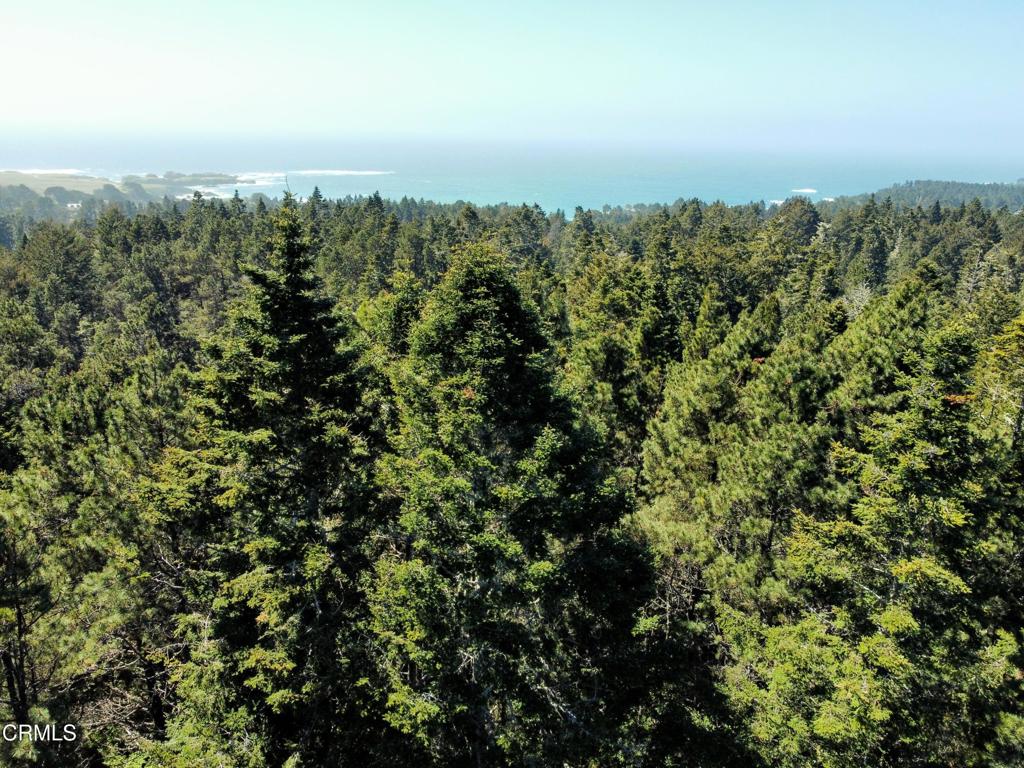 44551 Raven Lane Mendocino, CA 95460 - Photo 7 of 23 an aerial view of a city