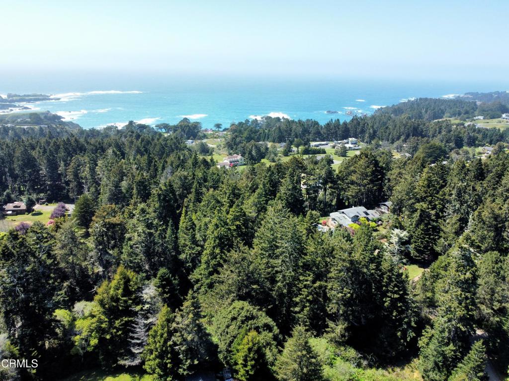 44551 Raven Lane Mendocino, CA 95460 - Photo 8 of 23 an aerial view of a city with lots of residential buildings and mountain view in back