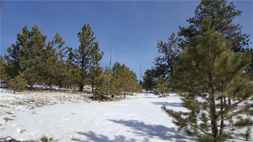 Lot 5884 Running Bear Road Hartsel, CO 80449 - Photo 14 of 20 a view of a snow covered with snow in the background