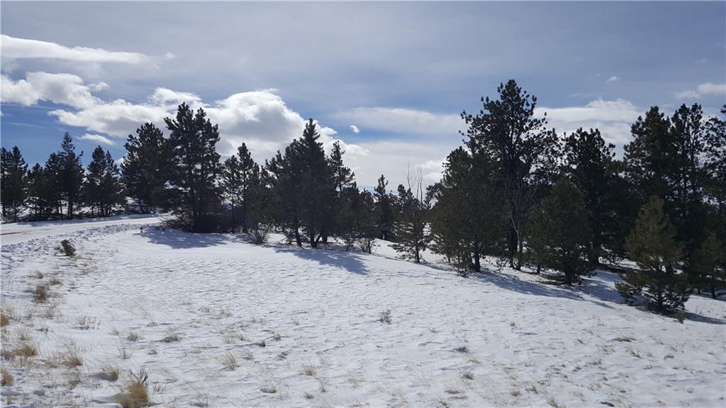 Lot 5884 Running Bear Road Hartsel, CO 80449 - Photo 8 of 20 a view of a snow on the side of a road