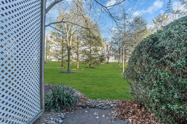 a view of a garden with a tree