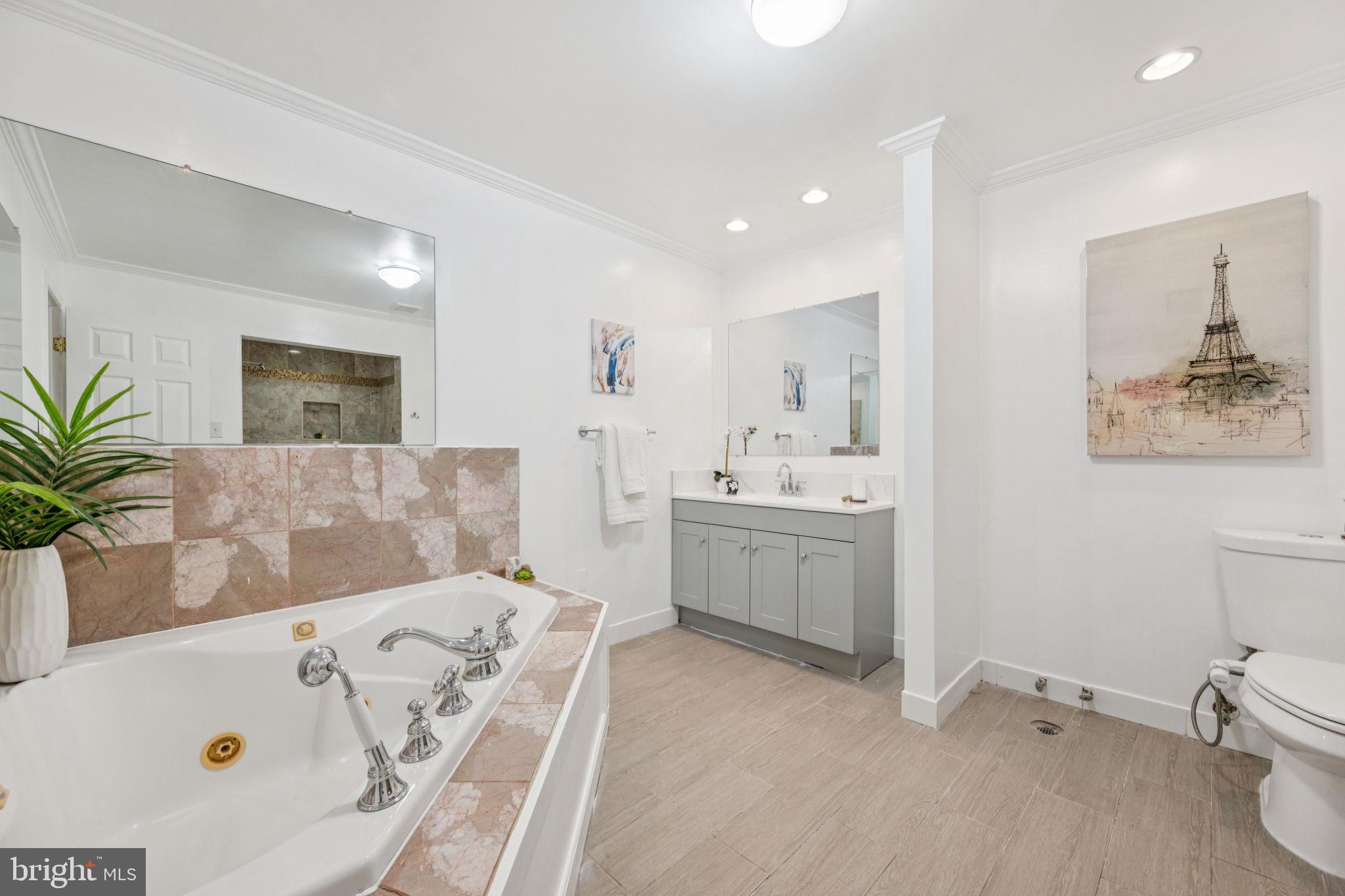 10600 Vantage Court Potomac, MD 20854 - Photo 20 of 51 a bathroom with a tub sink and mirror