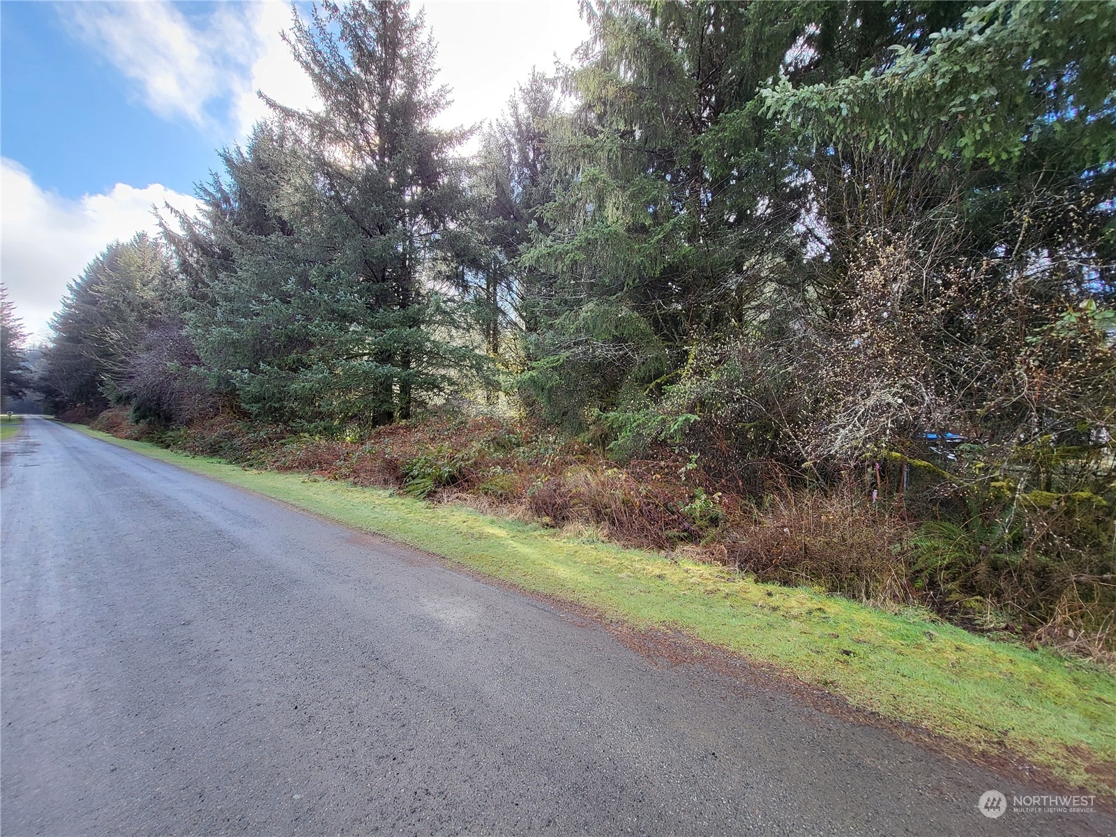 1 Riata Road Forks, WA 98331 - Photo 3 of 3 Gallery Image 3