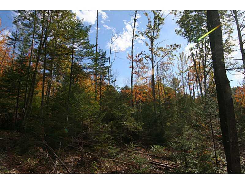 0 Hobbs Road Greenwood, ME 04255 - Photo 3 of 6 Land.