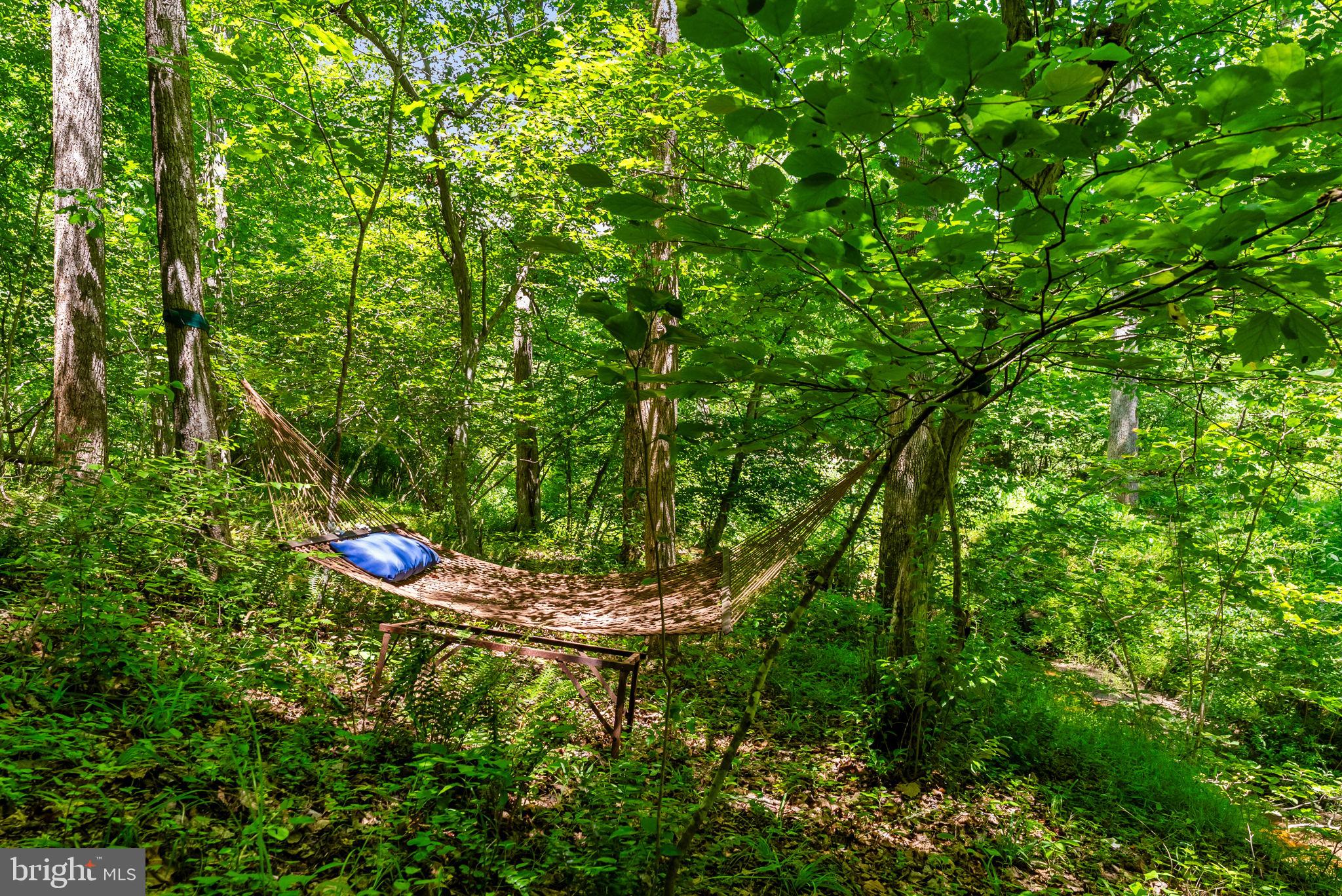 9406 Obannons Mill Road Boston, VA 22713 - Photo 34 of 34 Your hammock in the trees overlooks the brook