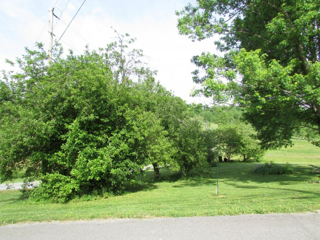 470 Cripple Creek Road Watauga, TN 37694 - Photo 4 of 22 Photo 4