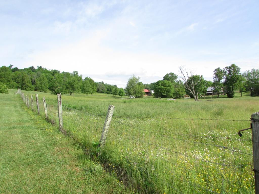 470 Cripple Creek Road Watauga, TN 37694 - Photo 5 of 22 Photo 5