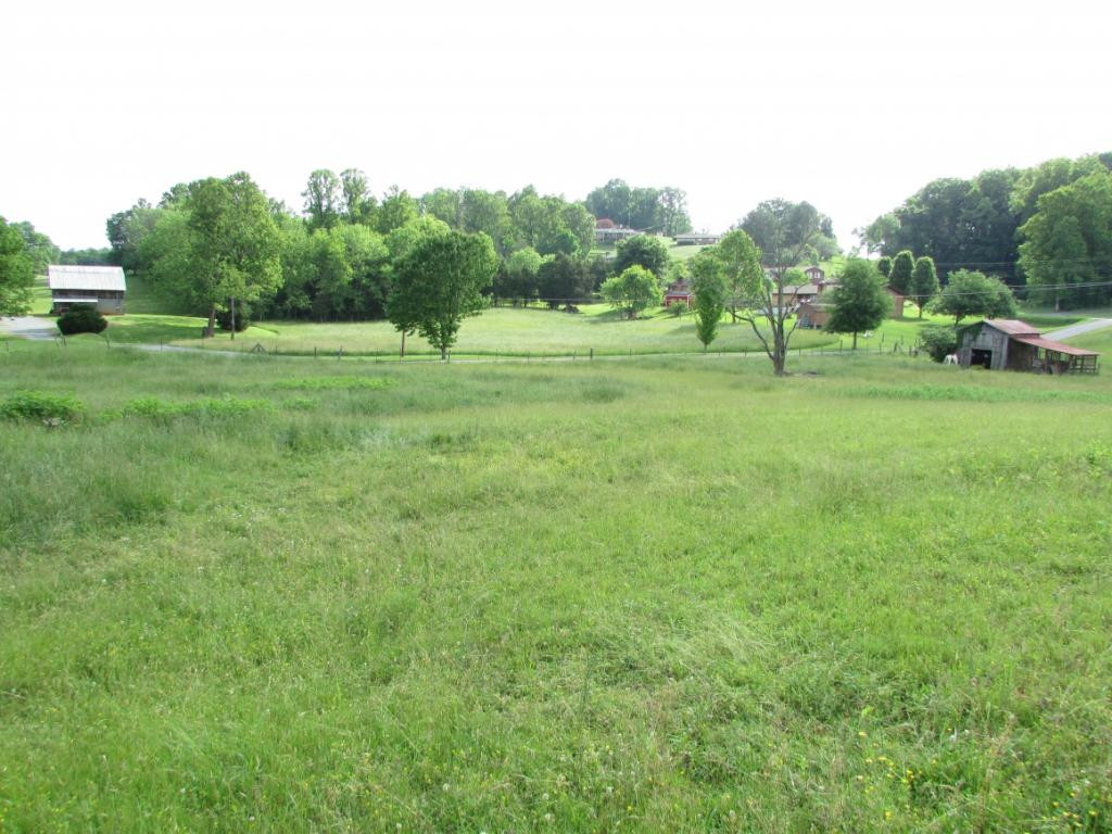 470 Cripple Creek Road Watauga, TN 37694 - Photo 7 of 22 Photo 7