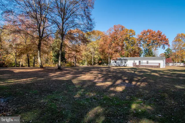 a view of street with trees