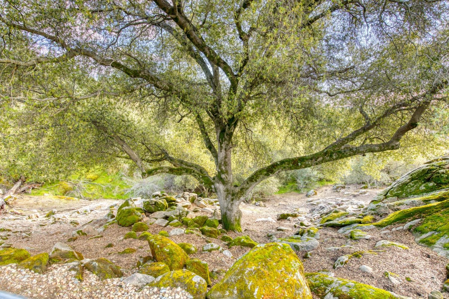 29559 Revis Road Coarsegold, CA 93614 - Photo 44 of 68 Gallery Image 44