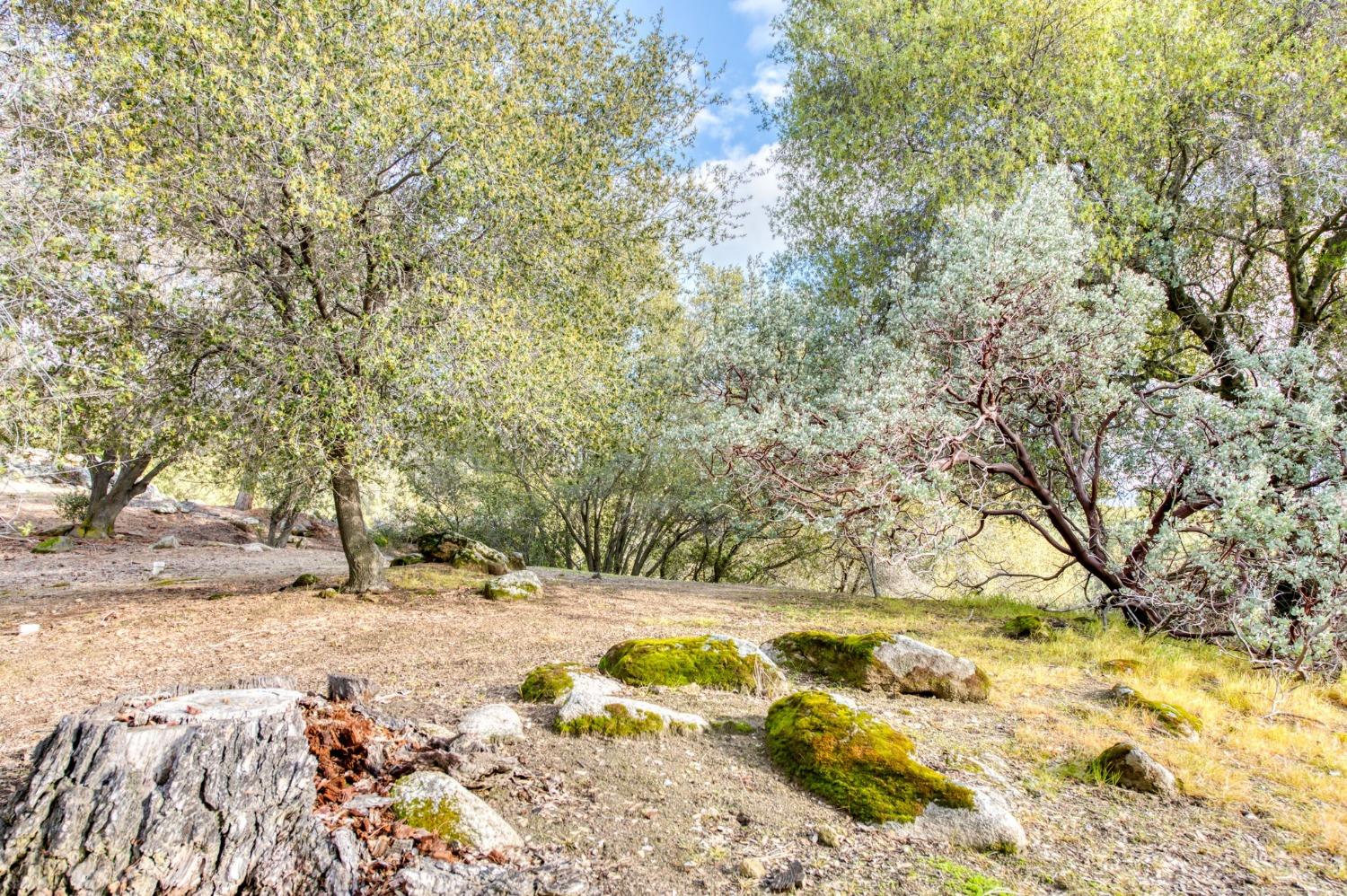 29559 Revis Road Coarsegold, CA 93614 - Photo 61 of 68 Gallery Image 61