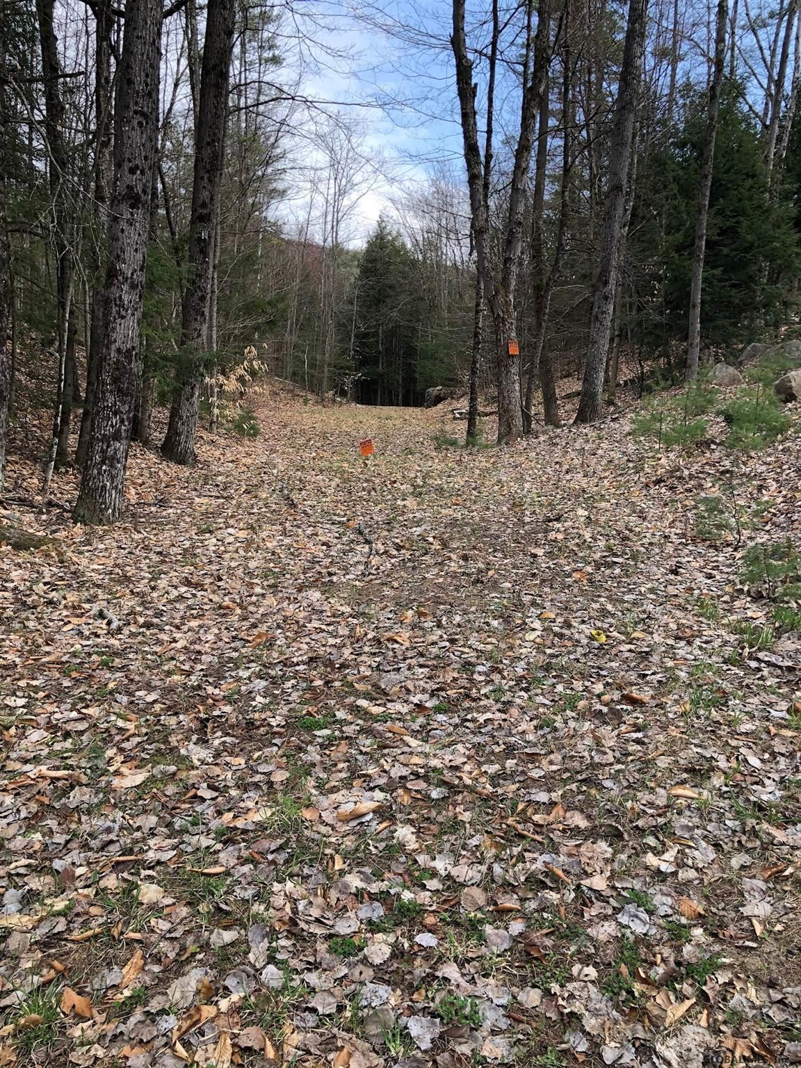 0 Hunt Lake Road North Corinth, NY 12822 - Photo 7 of 8 Photo 7
